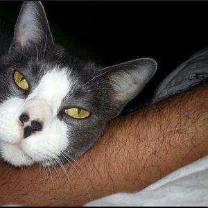 Meet your Posher, John